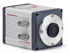 美品 動作確認済み　XA１ Electronic Flash A9M 美品 動作確認済み XA1 Electronic Flash A9M（極上美品 完動品